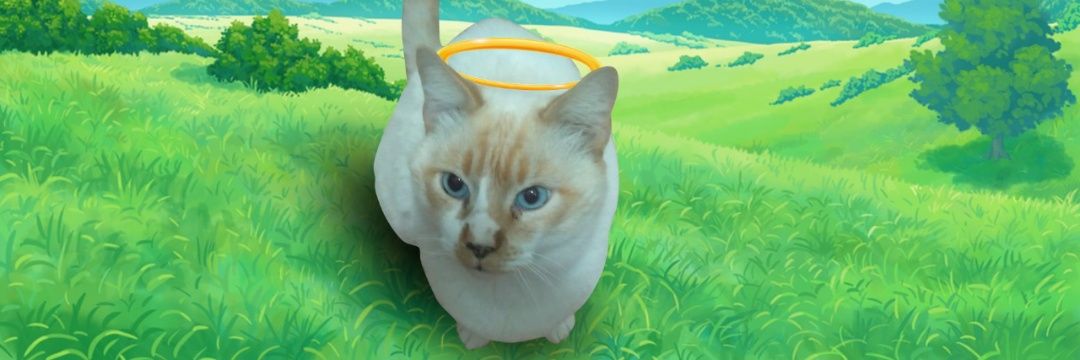 Jeff 🇾🇪🇾🇪 banner