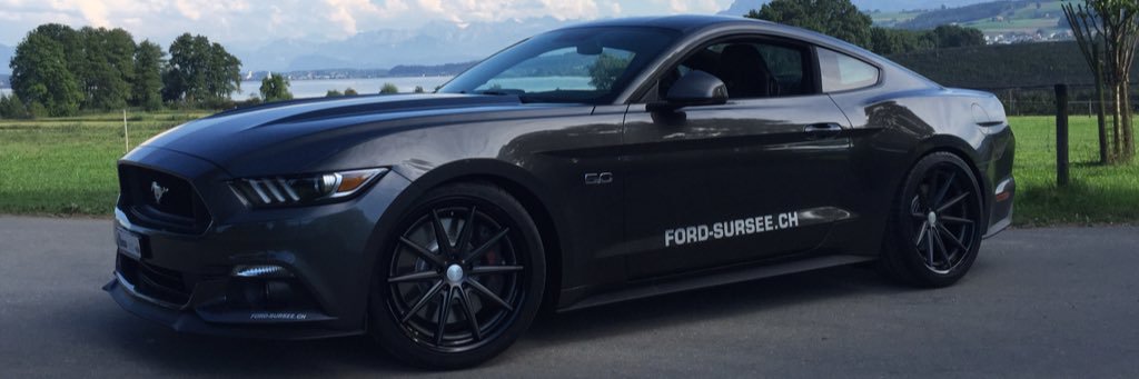 Markus Niffeler banner