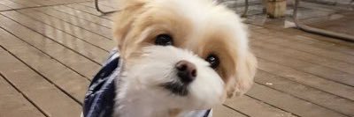 wonkyubromance's profile banner image