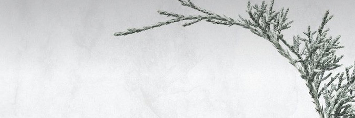 Noury20's profile banner image