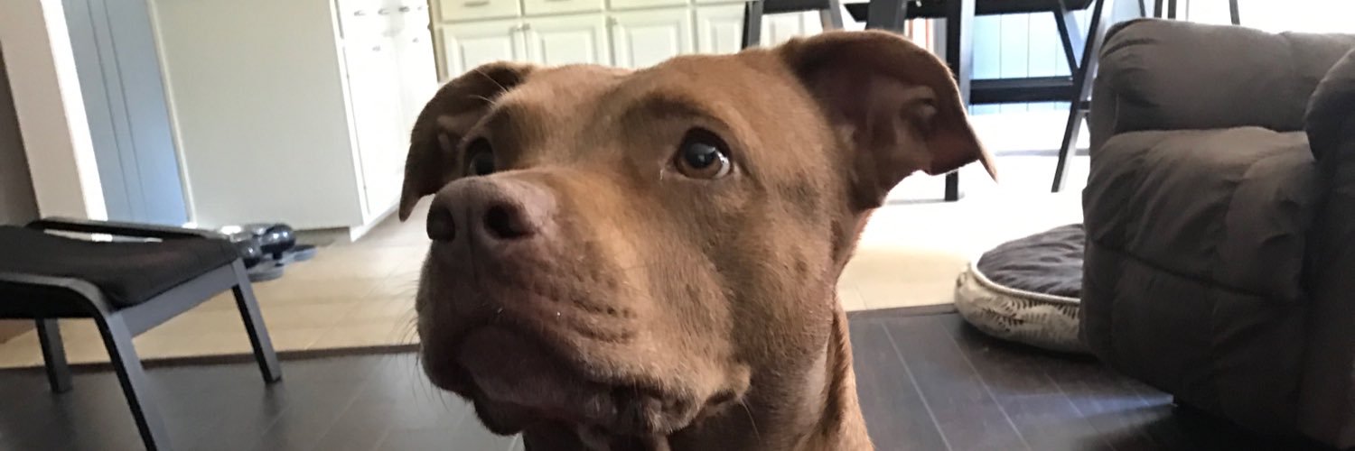 PocketWOD's profile banner image