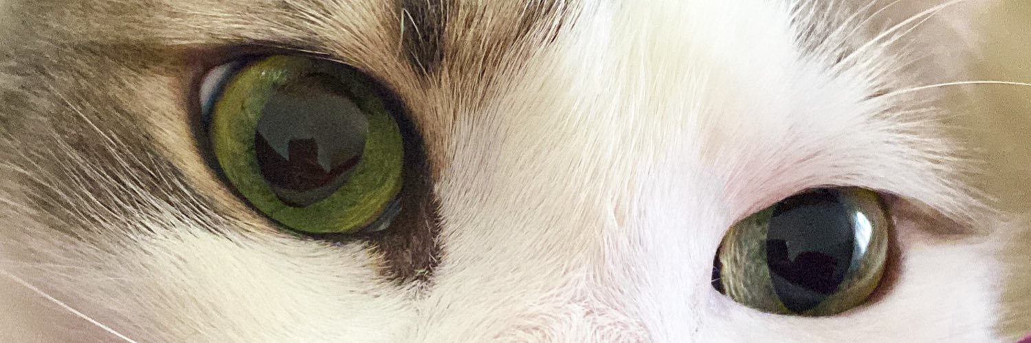 _cansulii's profile banner image