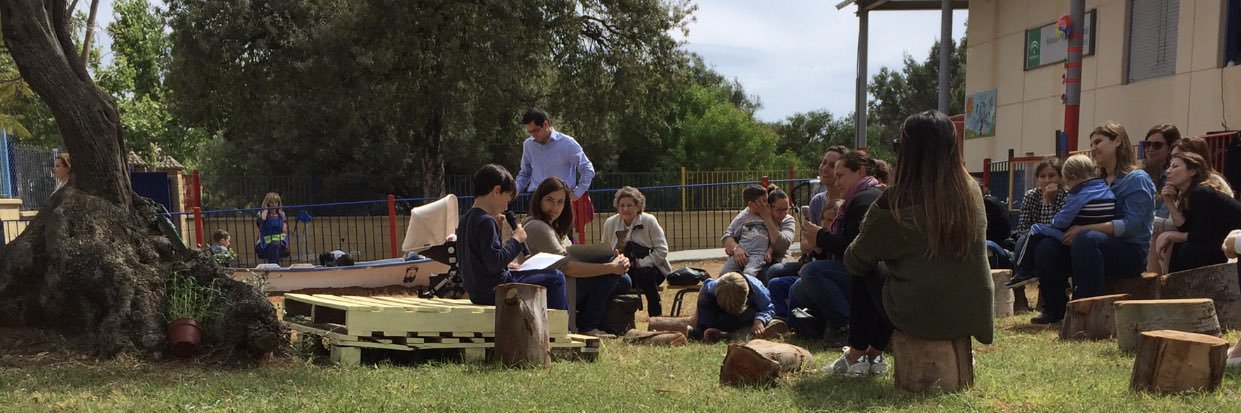 Colegio Pinolivo banner