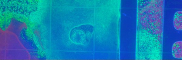 CMarizzi Profile Banner