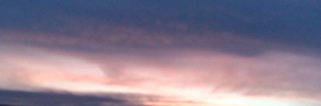 vidanova1's profile banner image