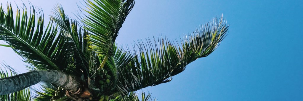 Lise De Backer banner