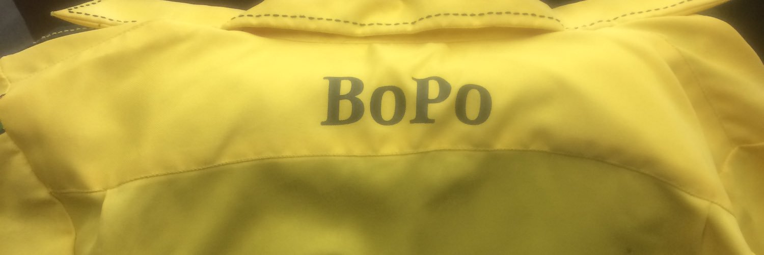 BingasBoPo banner