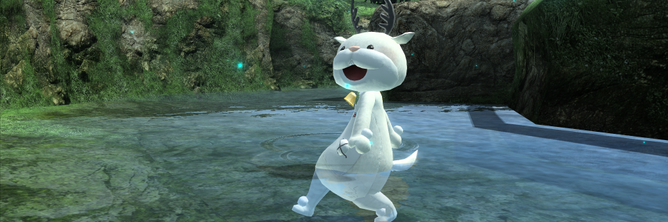 あるきめでお banner