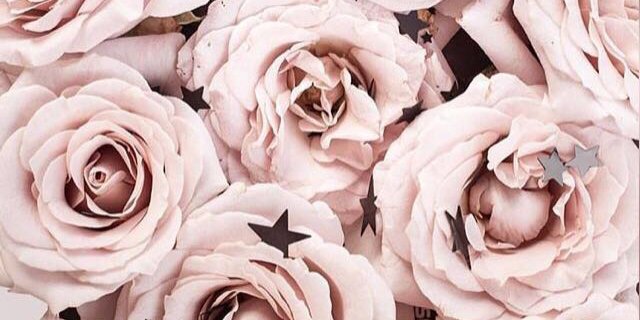 WhitneyRyder_'s profile banner image