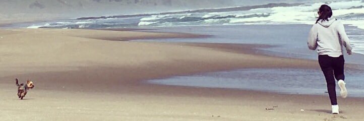 Romina Romero C. banner