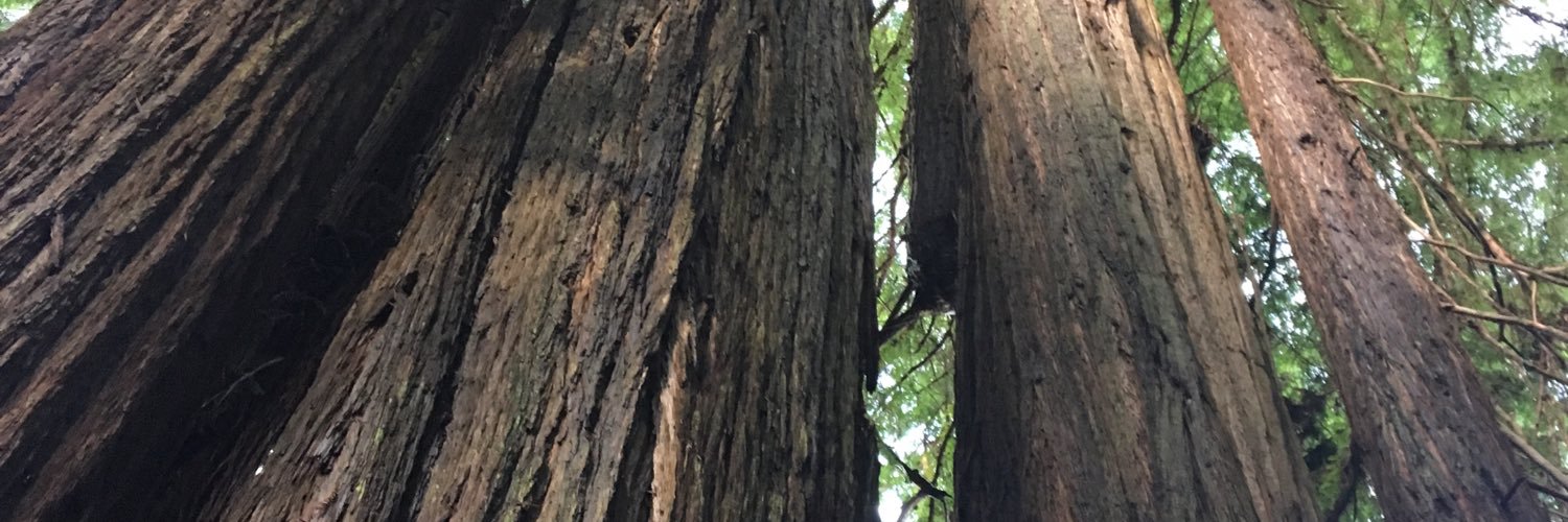 ryanalight's profile banner image