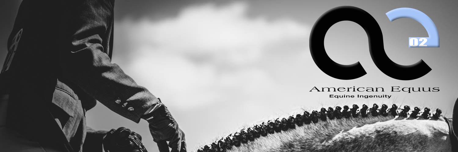 American Equus banner