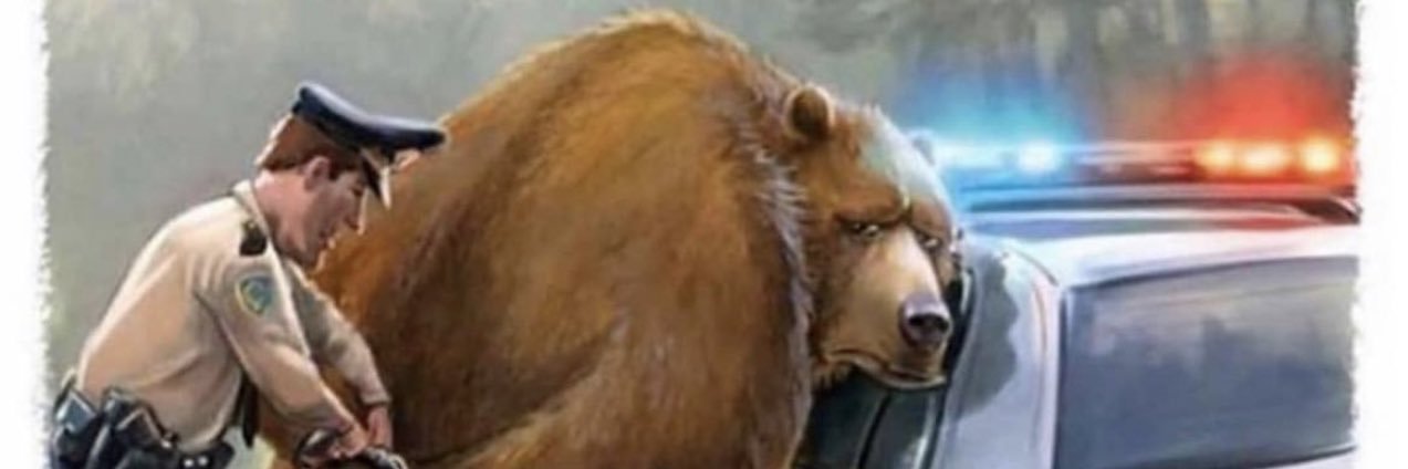 bR4k0's profile banner image