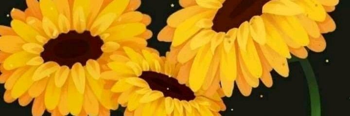 L_Acosta07's profile banner image