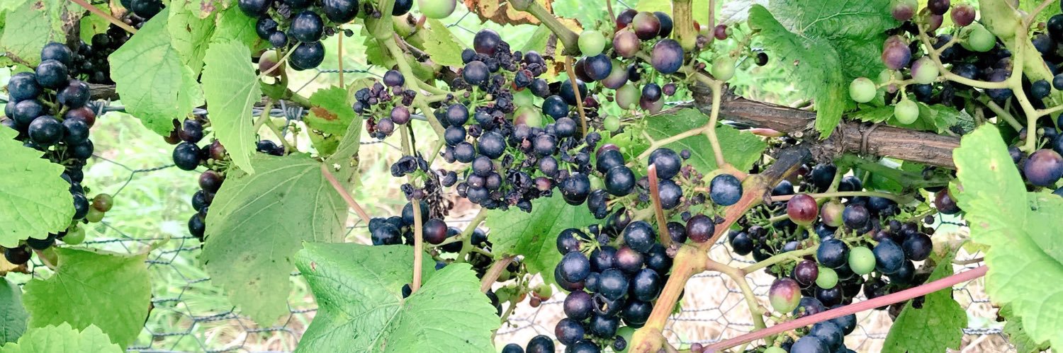 Pembs_Farm's profile banner image