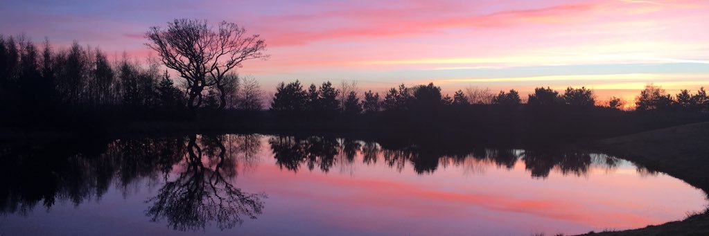 lisajclyde's profile banner image