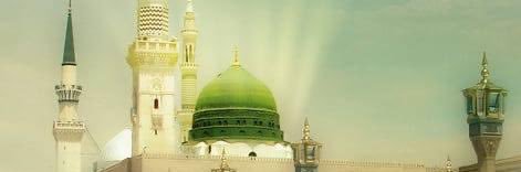 walifakheer's profile banner image