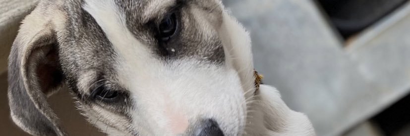 sphumzarr's profile banner image