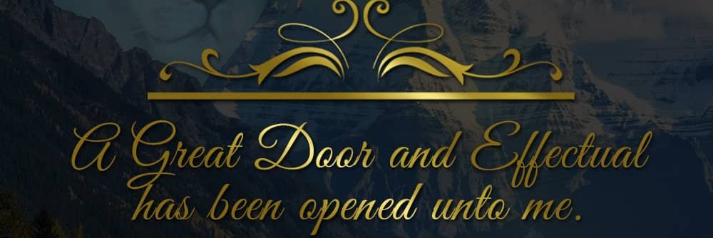 HazelJacque's profile banner image