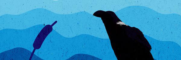 fobiaczka's profile banner image