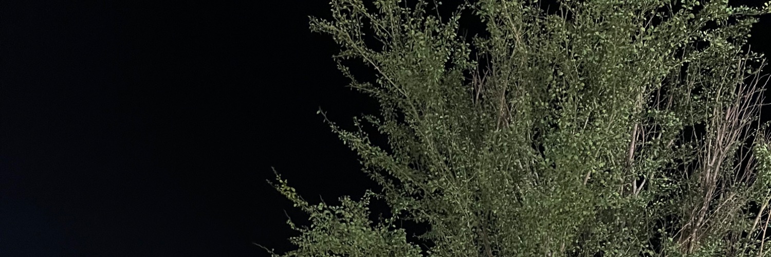 bbambieye's profile banner image
