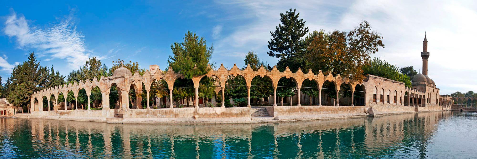 ŞANDER banner