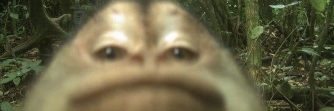 beerdilf's profile banner image