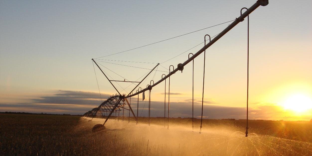 Federico Albiñana banner