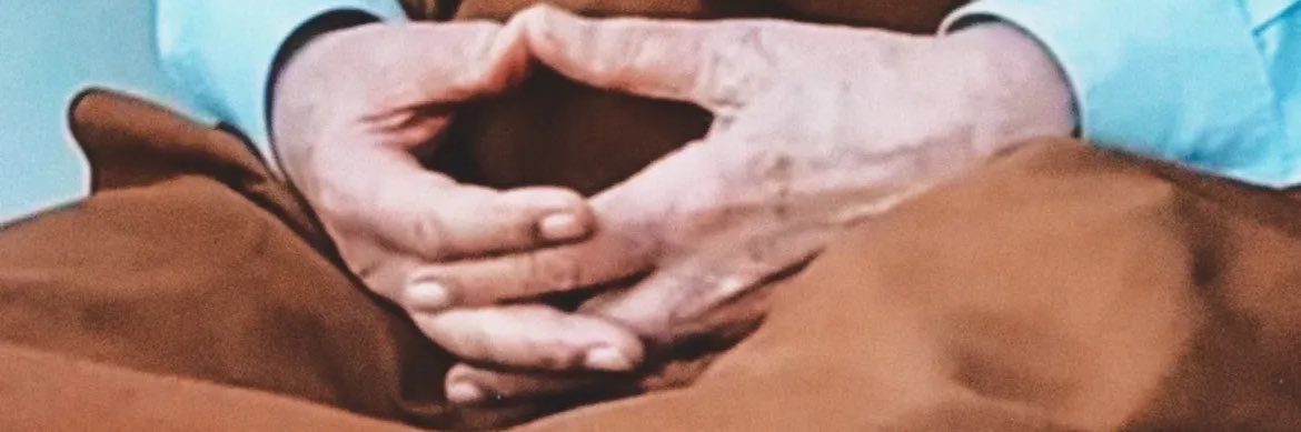 Sayeh banner