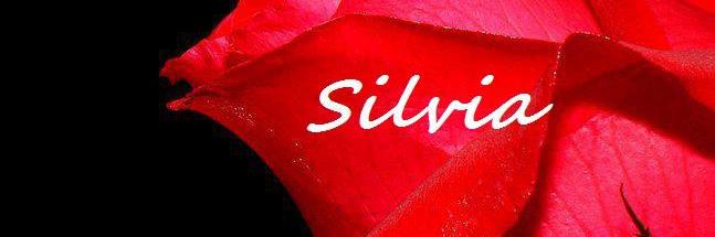silvitafer's profile banner image