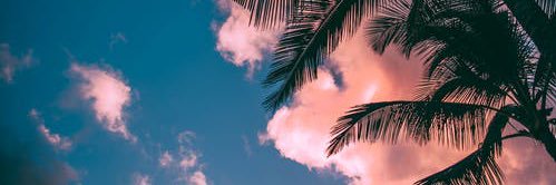 melbeardmore_'s profile banner image