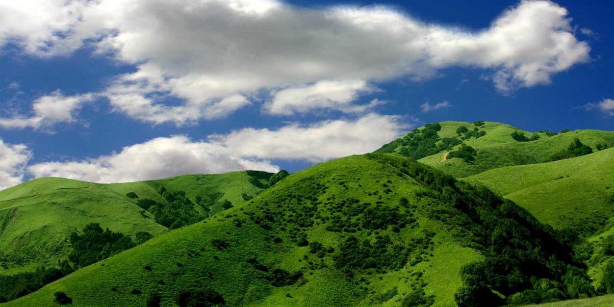 Maleny_Commerce's profile banner image