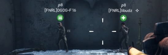 DG- banner
