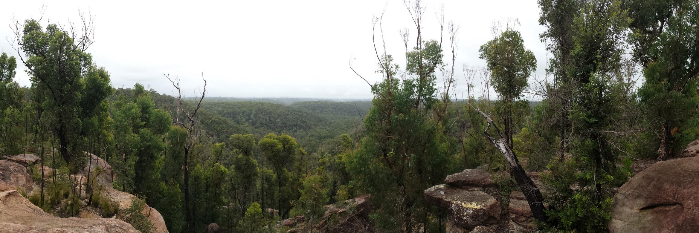 Michael Dausmann banner