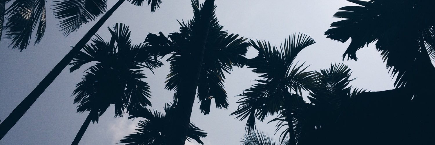 HopeElsa's profile banner image