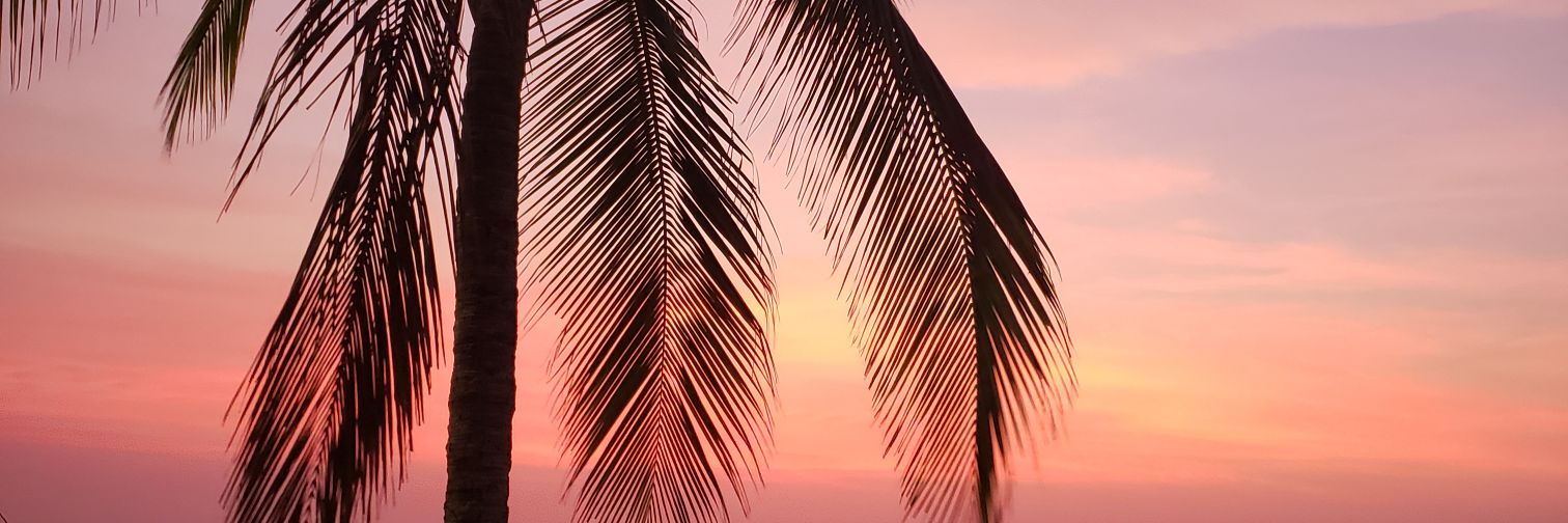 Paddyconsalsa's profile banner image