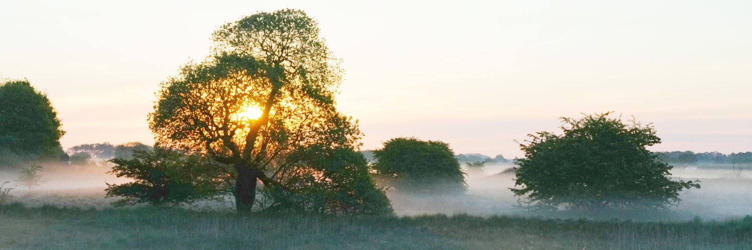 DahnkeKim's profile banner image