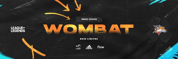 LeagueOfWombat Profile Banner