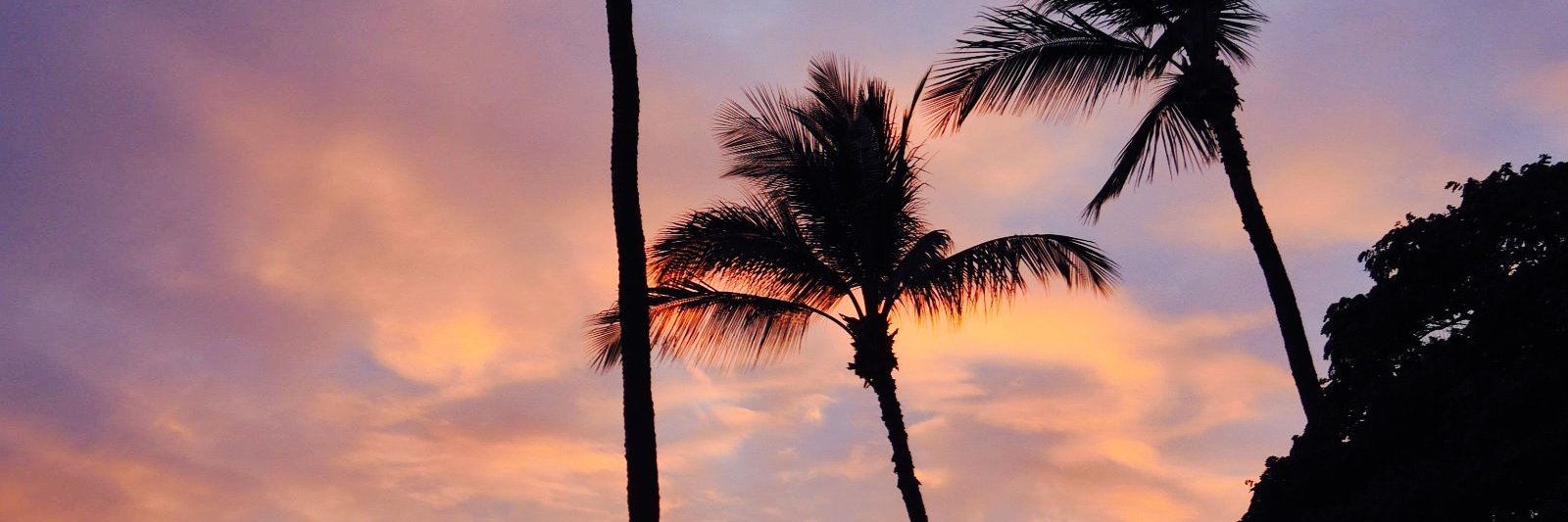 thomas villain banner