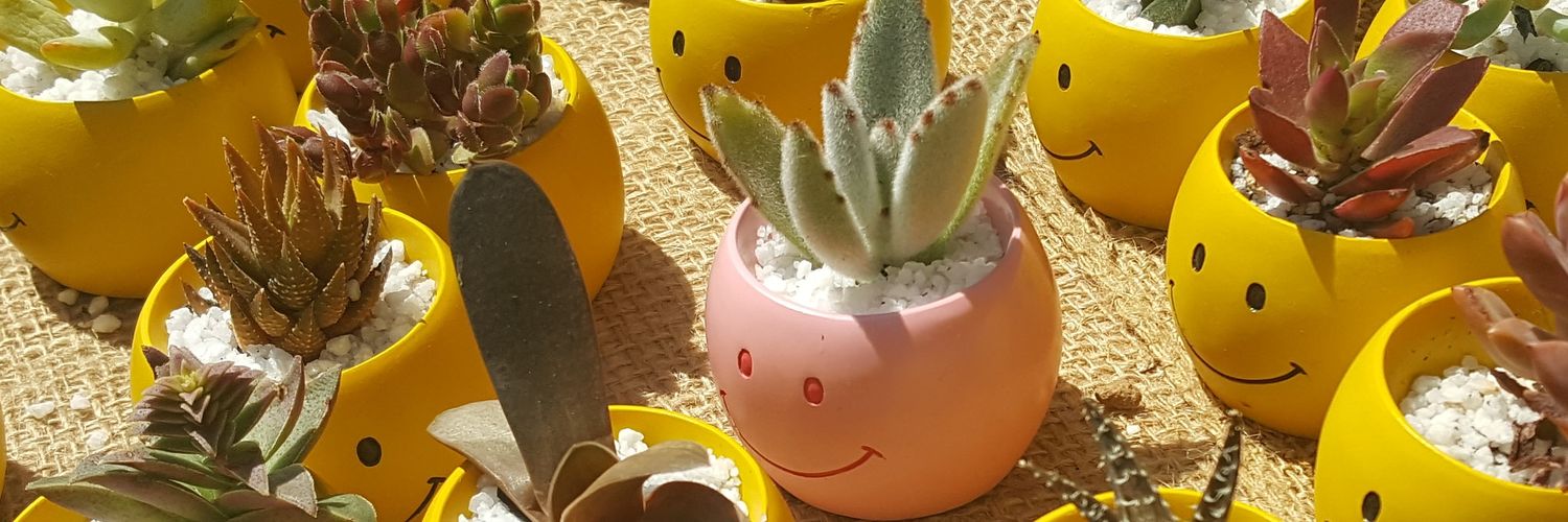 mieysa's profile banner image