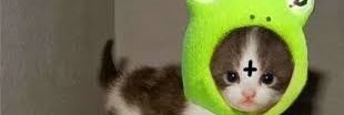 jorgeadls96's profile banner image