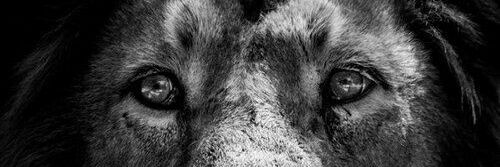 DebarLeonel's profile banner image
