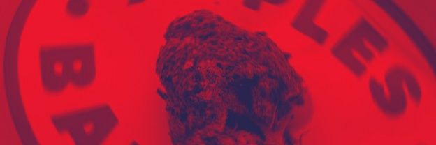 1travion's profile banner image
