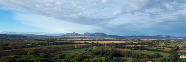 SoniaGrahamBuch Profile Banner