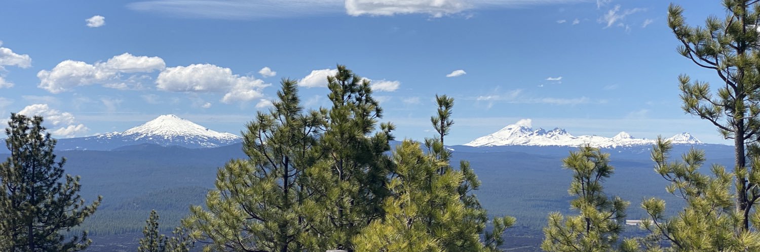 egwene al'vere defender banner