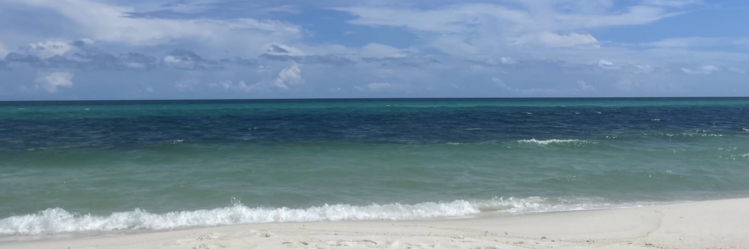 ➵➶ 𝓉𝑒𝓆𝓊𝒾𝓁𝒶 𝓂𝑜𝒸𝓀𝒾𝓃𝑔𝒷𝒾𝓇𝒹 banner