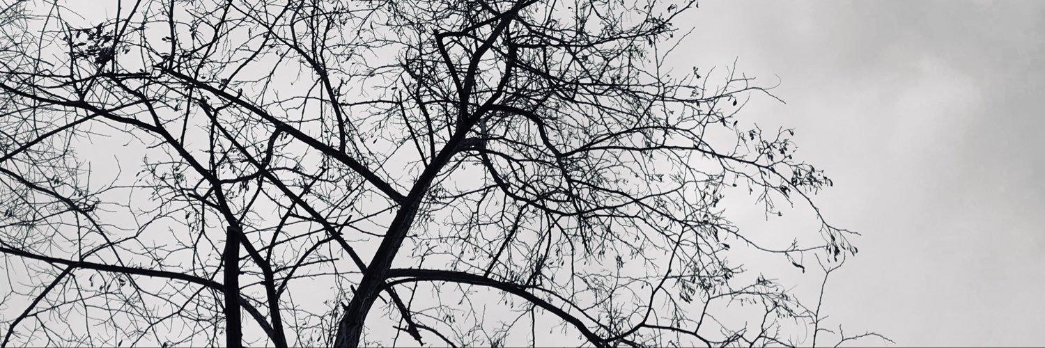 serenoy_'s profile banner image