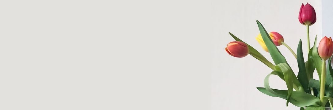 steeph_02's profile banner image