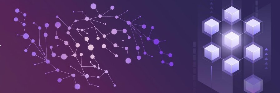 danibellone's profile banner image