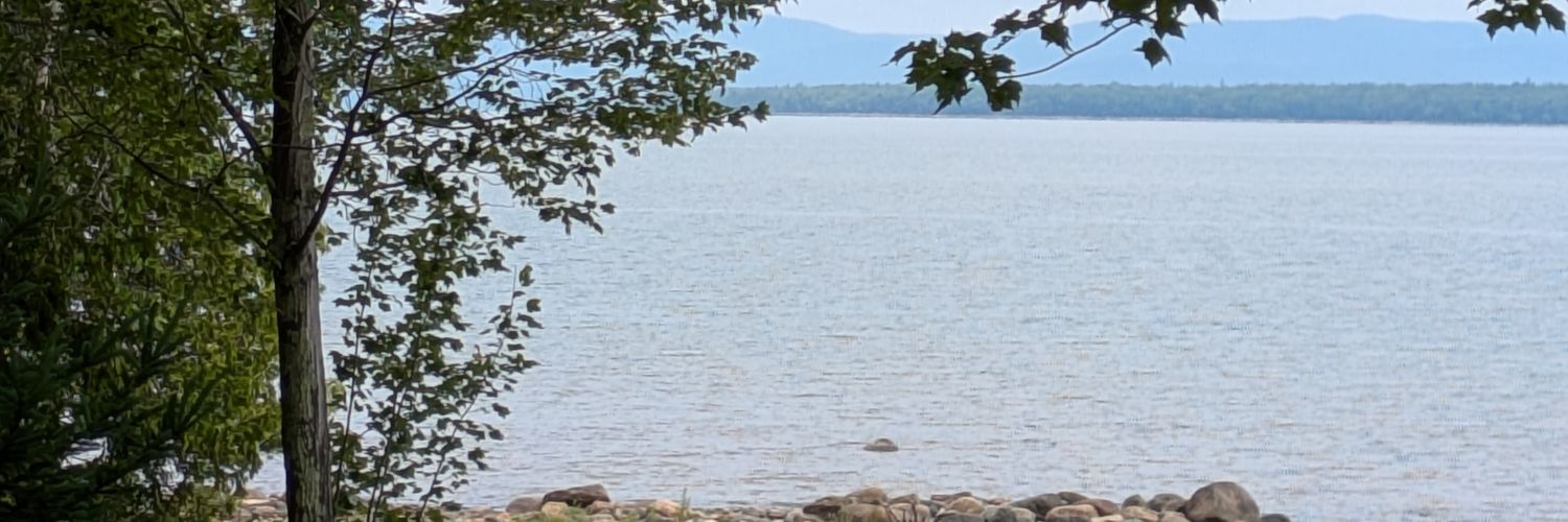 AllieMarieAM's profile banner image